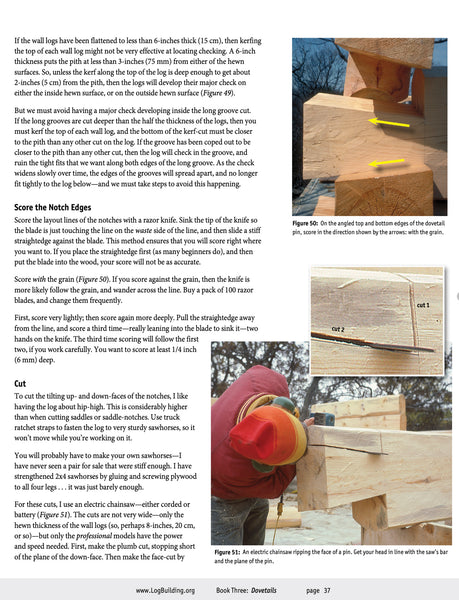 Log Cabin Secrets, Book 3:  Dovetails